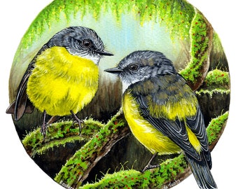 Forest Secrets - Yellow Robin