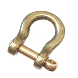May include: A gold-colored metal shackle with a pin. The shackle is a U-shape with a rounded top and a pin that goes through the bottom of the U.