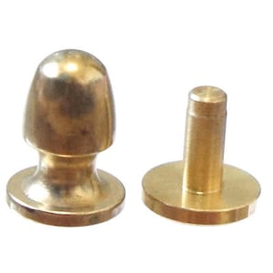 May include: A set of two gold-toned metal furniture tacks. One tack has a round head and a short, cylindrical base. The other tack has a round head and a longer, cylindrical base.