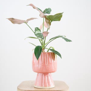 Handmade Ceramic Pedestal Planter, Coral Pink White Glaze, Textured Lines