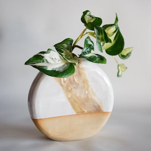 May include: A round ceramic vase with a glossy white finish on the upper portion and a matte tan base. A diagonal textured tan stripe runs across the centre. A trailing plant with variegated green and white leaves emerges from the top opening.