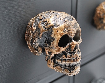 Raven Skull Cabinet Wardrobe Door Knobs, Modern Drawer Knob