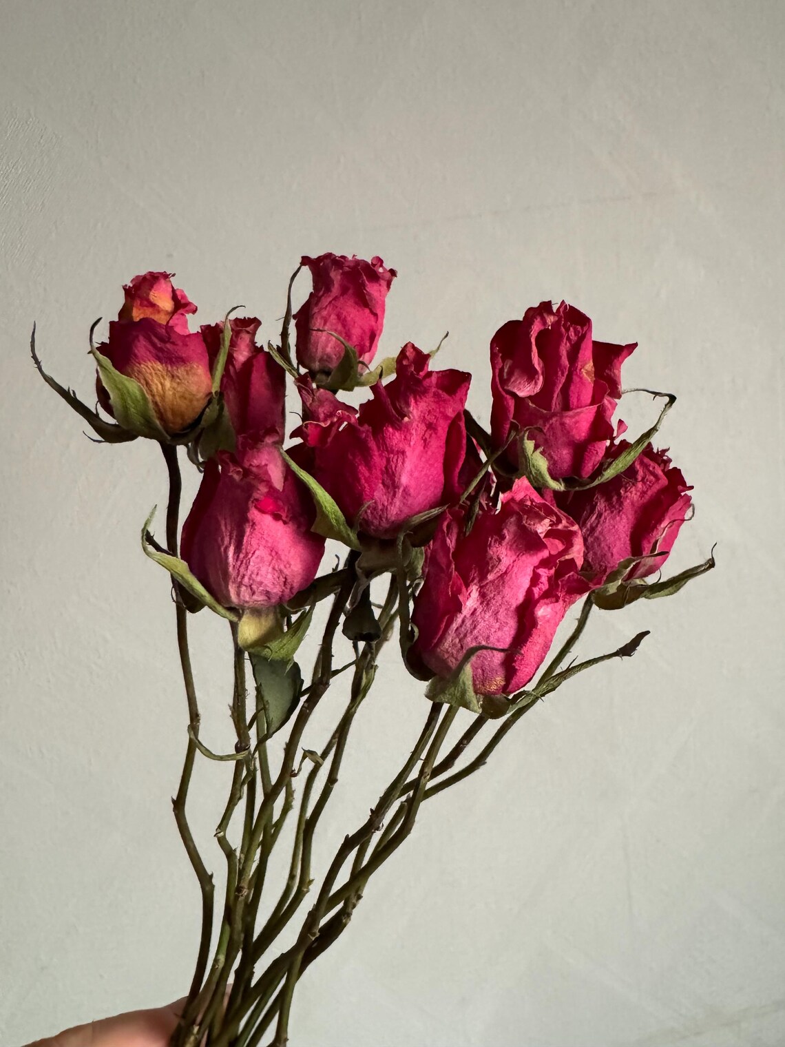 Natural Dried Roses – Preserved Flowers for Decor, Crafts & Gifts - Etsy