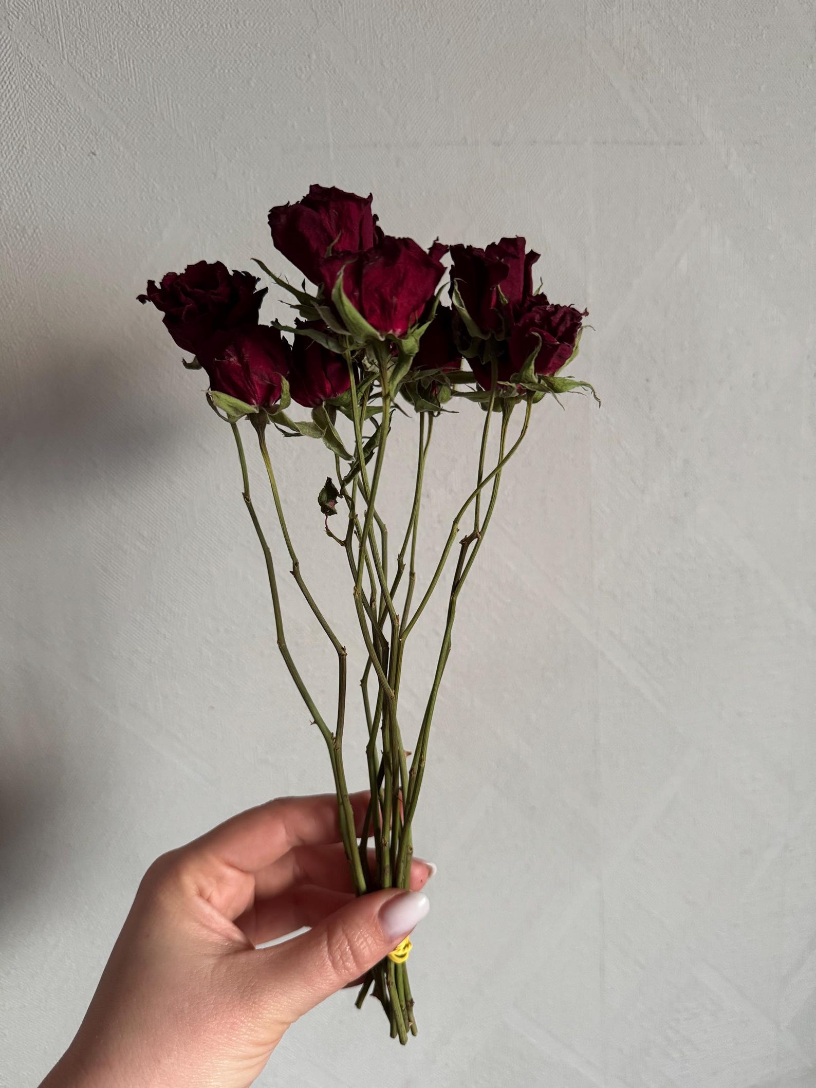 Natural Dried Roses – Preserved Flowers for Decor, Crafts & Gifts - Etsy