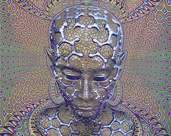 Arazzo da parete Trippy, arazzo psichedelico, 'Micro Macro'. Stampa digitale, arte da parete trippy, stampa Visionary Art, meditazione geometrica frattale