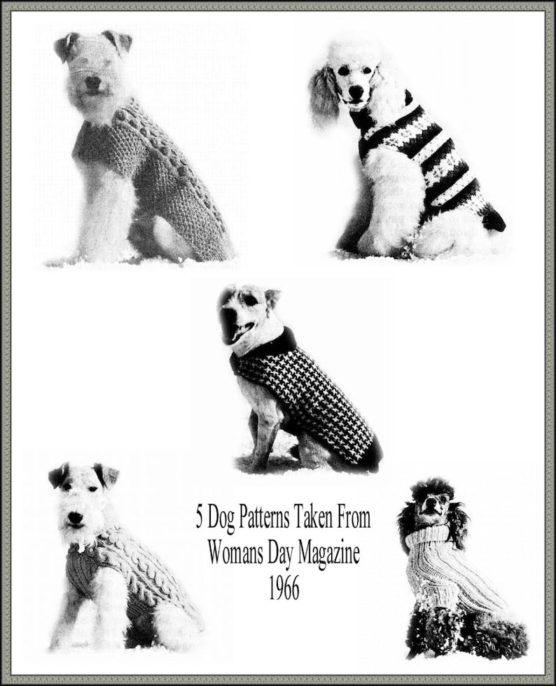 Knitting Pattern for 5 Vintage Style Dog Coats Etsy