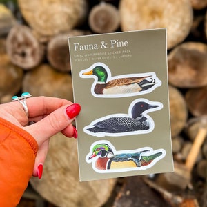 Waterfowl Stickers | Bird Sticker Pack | Waterproof | Gifts for Bird Lovers | Birding Gifts | Mallard Duck | Common Loon | Wood Duck | Birds