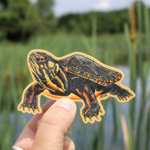 Painted Turtle Vinyl Sticker | Waterproof Decal | Painter Turtle | Hand Painted | Nature Stickers | Weatherproof | Turtle Sticker | Outdoor