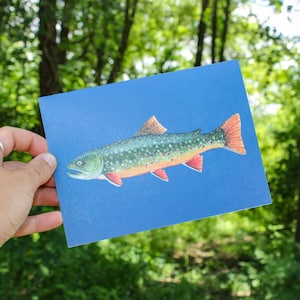 Brook Trout Card | Blank Greeting Card | Trout Artwork | Brook Trout | Gifts for Men | Fishing Gifts | Hand Painted | Fish Card | 5x7 Print