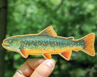 Pegatina de trucha de arroyo / Pintada a mano / Peces norteamericanos / Regalos de pesca para hombres / Pegatina para parachoques / Pesca con mosca / Pegatinas de trucha / Arte de trucha