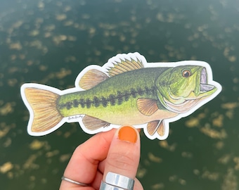 Largemouth Bass Sticker | Vinyl Bass Decal | Waterproof | Bass Sticker | Bass Fishing | Tackle Box Sticker | Gifts for Men | Fishing Gift