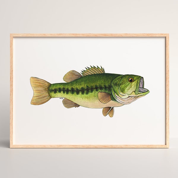 Largemouth Bass Print | Largemouth Bass Painting | Largemouth Bass Art | Bass Art | Bass Print | 8x10 Print | Fishing Gifts | Gifts for Men