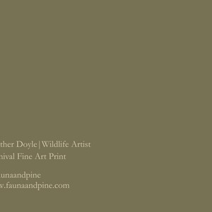 Common Loon Print | Common Loon Painting | Waterfowl Art | Lake Art | Archival Fine Art Print | Lake House Décor | Nature Artwork image 9