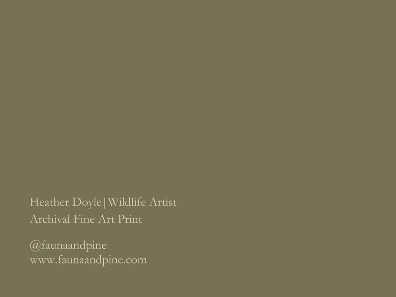 Common Loon Print | Common Loon Painting | Waterfowl Art | Lake Art | Archival Fine Art Print | Lake House Décor | Nature Artwork image 9