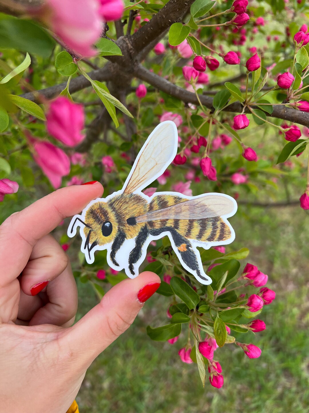 Bee Sticker Honey Bee Sticker Bee Decal Hand Painted Bee Realistic Bee