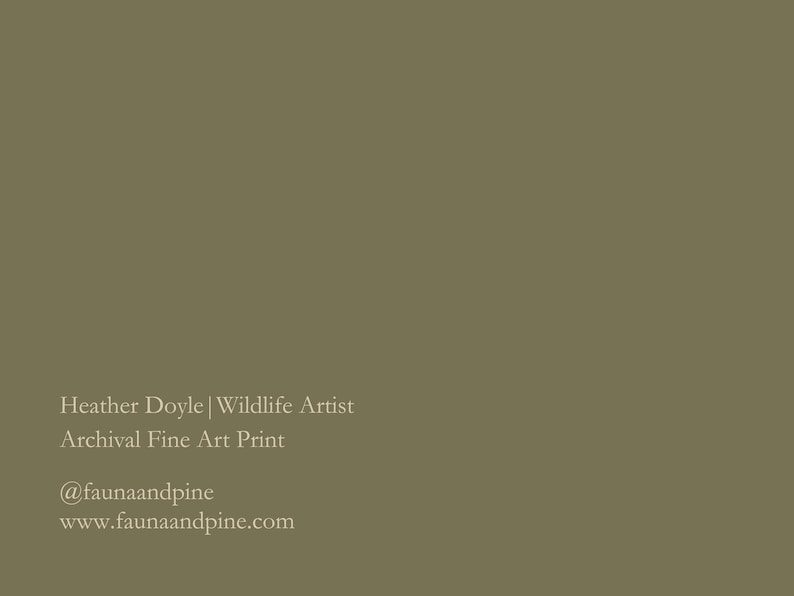 Common Loon Print | Common Loon Painting | Common Loon Art | Lake Art | Loon Print | 8 x 10 Print | Lake House Décor | Nature Artwork | Loon image 9