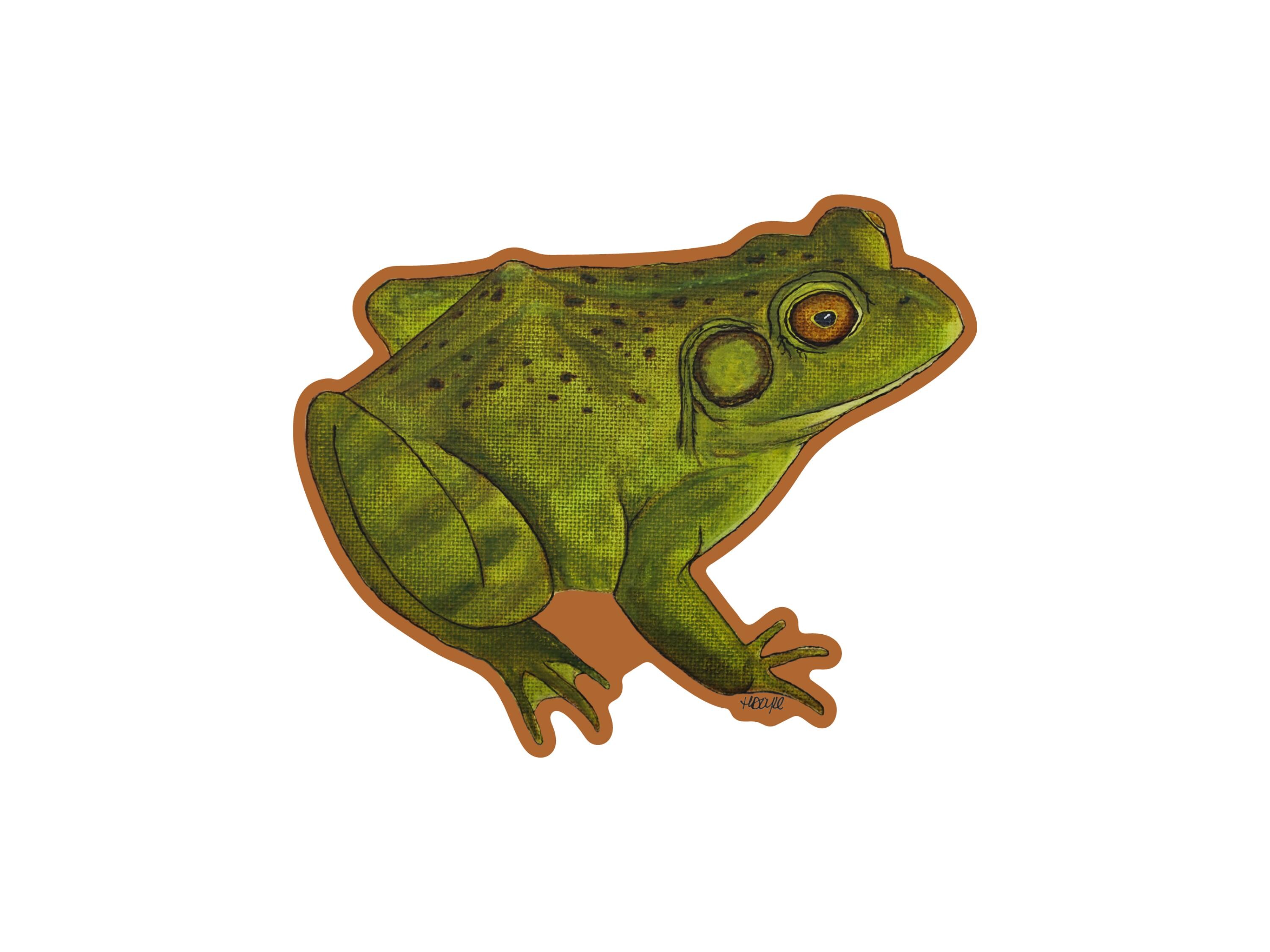 Bullfrog Vinyl Sticker | Waterproof Decal | Frog Sticker | Hand Painted ...