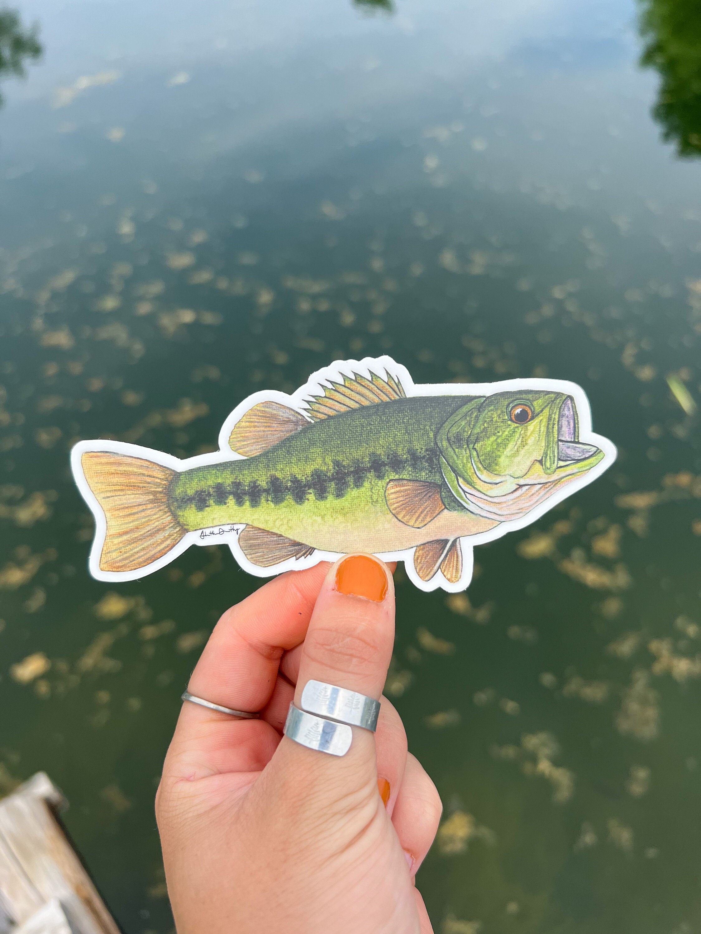 Fishing Sticker Pack 