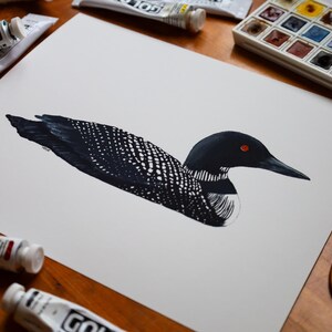Common Loon Print | Common Loon Painting | Common Loon Art | Lake Art | Loon Print | 8 x 10 Print | Lake House Décor | Nature Artwork | Loon image 6