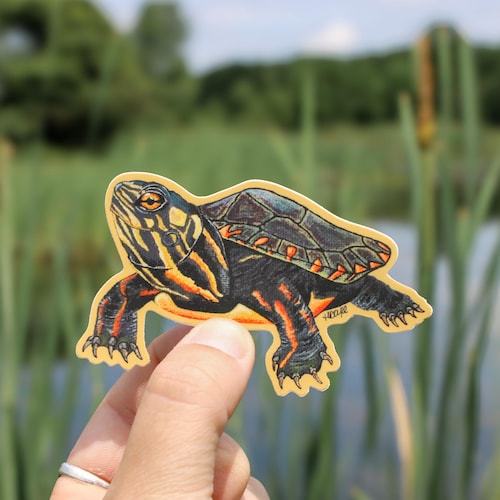 Sticker tortue peinte en vinyle | Sticker imperméable | Tortue peintre | Peint à la main | Autocollants nature | Résistant aux intempéries | autocollant tortue | Extérieur