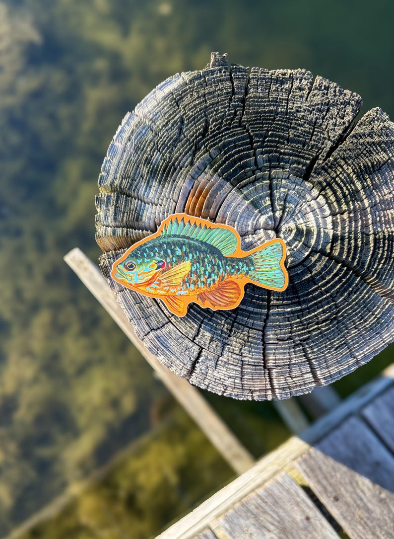 May include: A vibrant fish sticker in shades of orange, blue, and green, placed on a weathered wooden post. The sticker showcases detailed scales and fins, with a blurred water backdrop. The wood's texture provides a rustic contrast to the sticker.