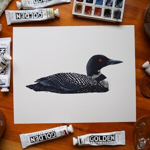 Common Loon Print | Common Loon Painting | Common Loon Art | Lake Art | Loon Print | 8 x 10 Print | Lake House Décor | Nature Artwork | Loon image 5