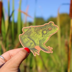Bullfrog Vinyl Sticker | Waterproof Decal | Frog Sticker | Hand Painted ...