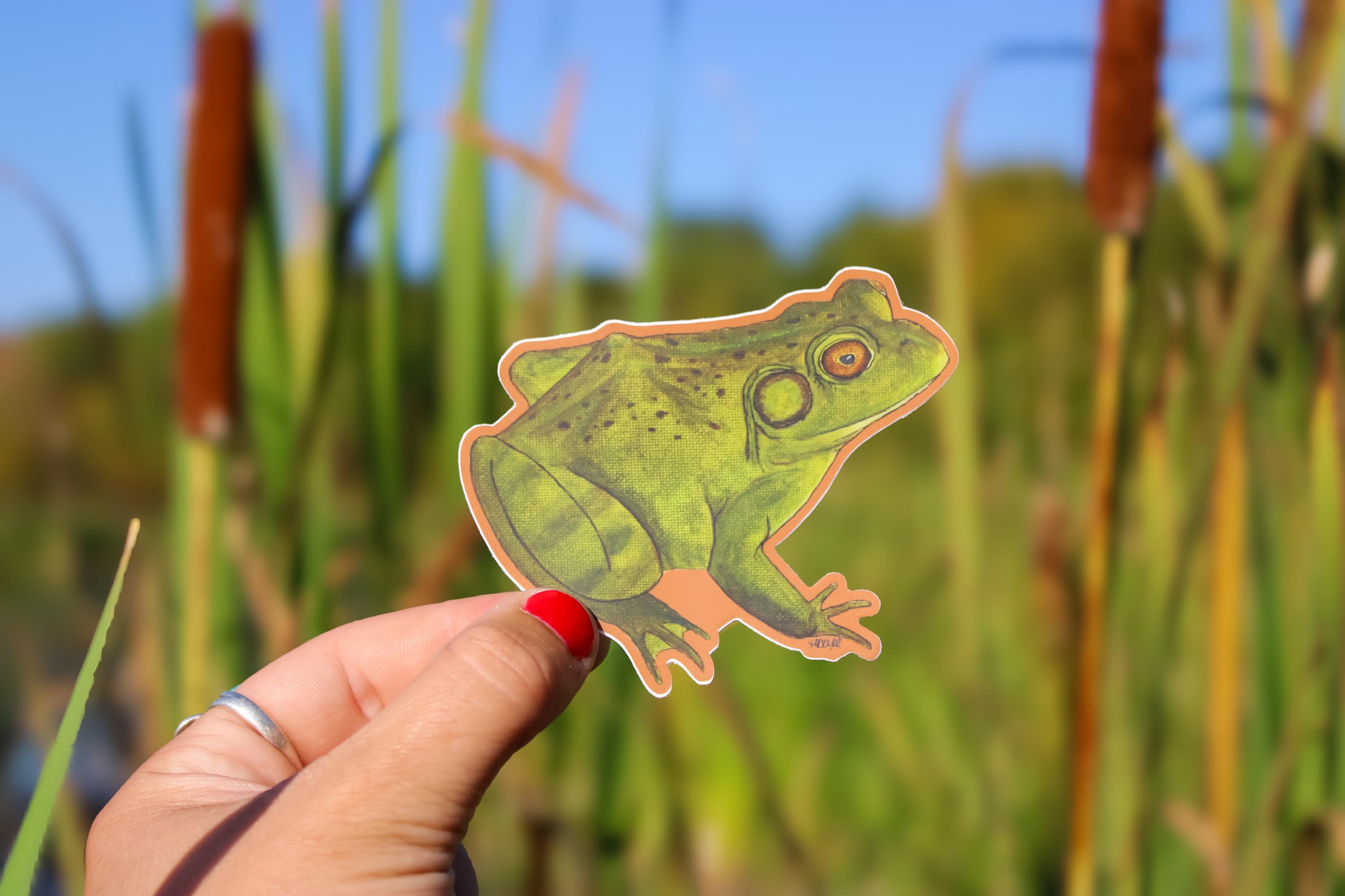 Bullfrog Vinyl Sticker | Waterproof Decal | Frog Sticker | Hand Painted ...