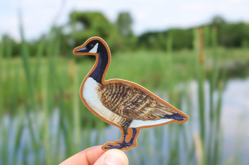 Canadian Goose Sticker | Vinyl Goose Decal | Waterproof | Goose Sticker ...