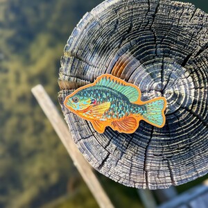 May include: A vibrant sticker depicting a bluegill fish in shades of orange, green, and blue. The sticker is positioned on a weathered wooden surface, with a blurred backdrop of water and wood.
