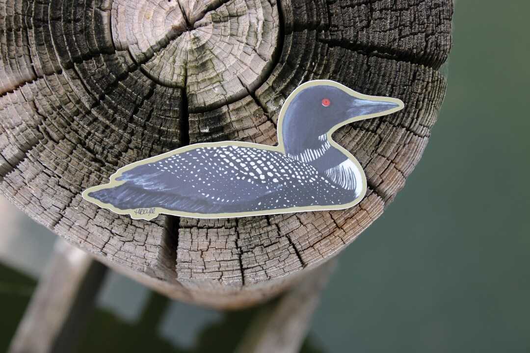 Common Loon Sticker | Vinyl Loon Decal | Waterproof | Loon Sticker ...