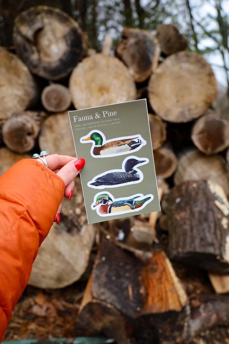 Waterfowl Stickers | Bird Sticker Pack | Waterproof | Gifts for Bird ...