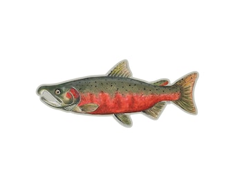 Coho Salmon Sticker | Hand Painted | Salmon Sticker | Fishing Gifts for Men | Bumper Sticker | Spawning Salmon | Fishing Gifts | Fish Art