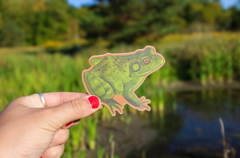 Bullfrog Vinyl Sticker | Waterproof Decal | Frog Sticker | Hand Painted ...