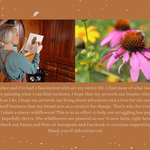 Op de afbeelding: Een gesplitste afbeelding met een kunstenaar die een morielje op papier schildert, naast een close-up van een bij op een rode zonnehoed. De tekst luidt: My name is Heather and I've had a fascination with art my entire life. Fauna & Pine.