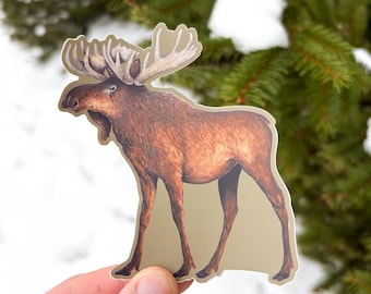 Moose Sticker | Vinyl Moose Decal | Waterproof | Moose Hunting | Cooler Sticker | Gifts for Men | Moose Artwork
