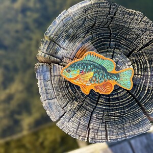 May include: A vibrant fish sticker, with shades of orange, blue, and green, is placed on a weathered wooden post. The sticker depicts a detailed illustration of the fish, highlighting its scales and fins. The background is blurred, implying an outdoor environment.