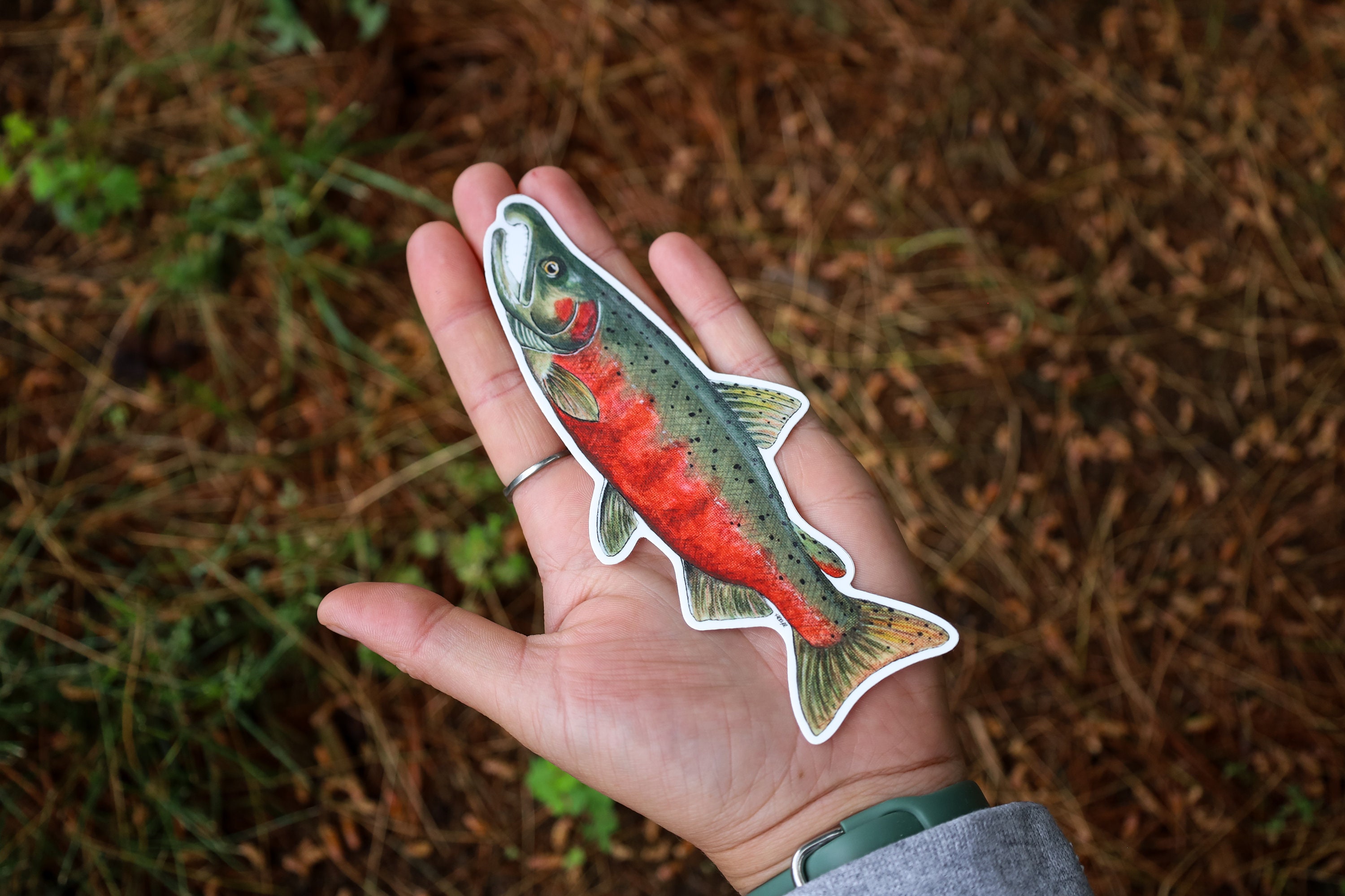 Coho Salmon Sticker | Hand Painted | Salmon Sticker | Fishing Gifts for ...
