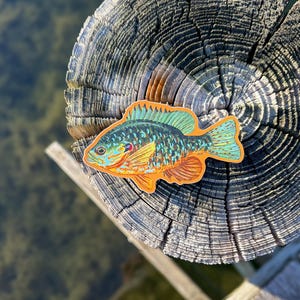 May include: A detailed fish sticker in shades of blue, green, and orange, placed on a weathered wooden post. The sticker's design highlights scales and fins. The background shows water and a wooden structure, creating a natural scene.