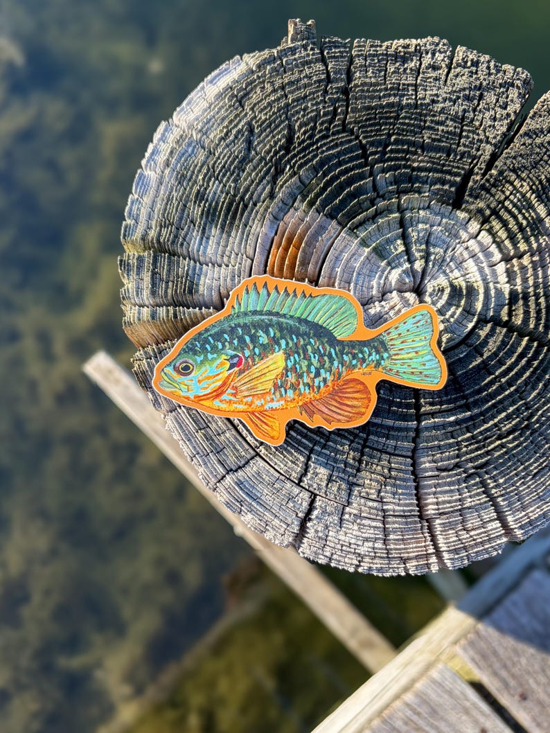 May include: A detailed fish sticker in shades of blue, green, and orange, placed on a weathered wooden post. The sticker's design highlights scales and fins. The background shows water and a wooden structure, creating a natural scene.