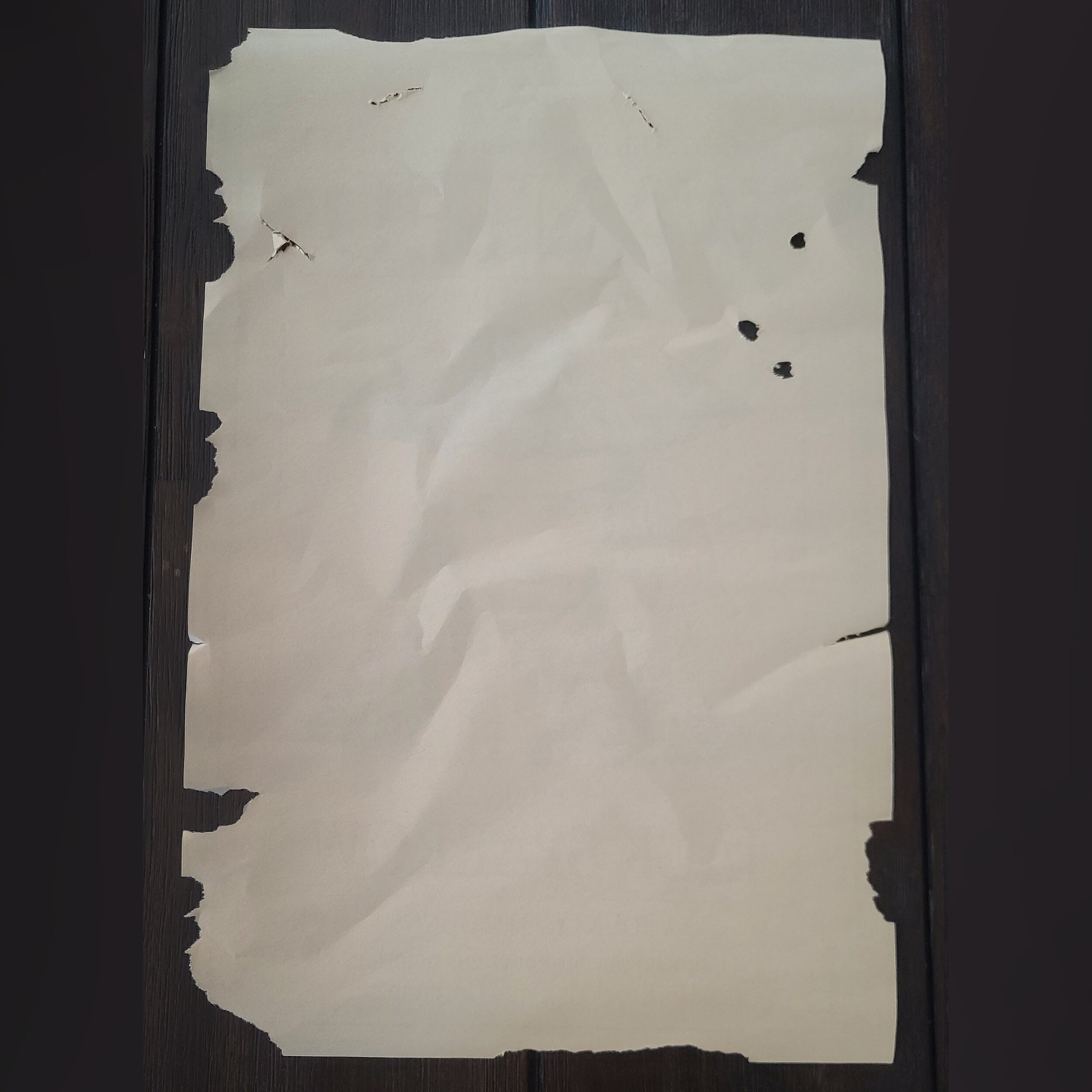 12 x 18 パイレーツオブカリビアン キャプテンジャックスパロウ 指名