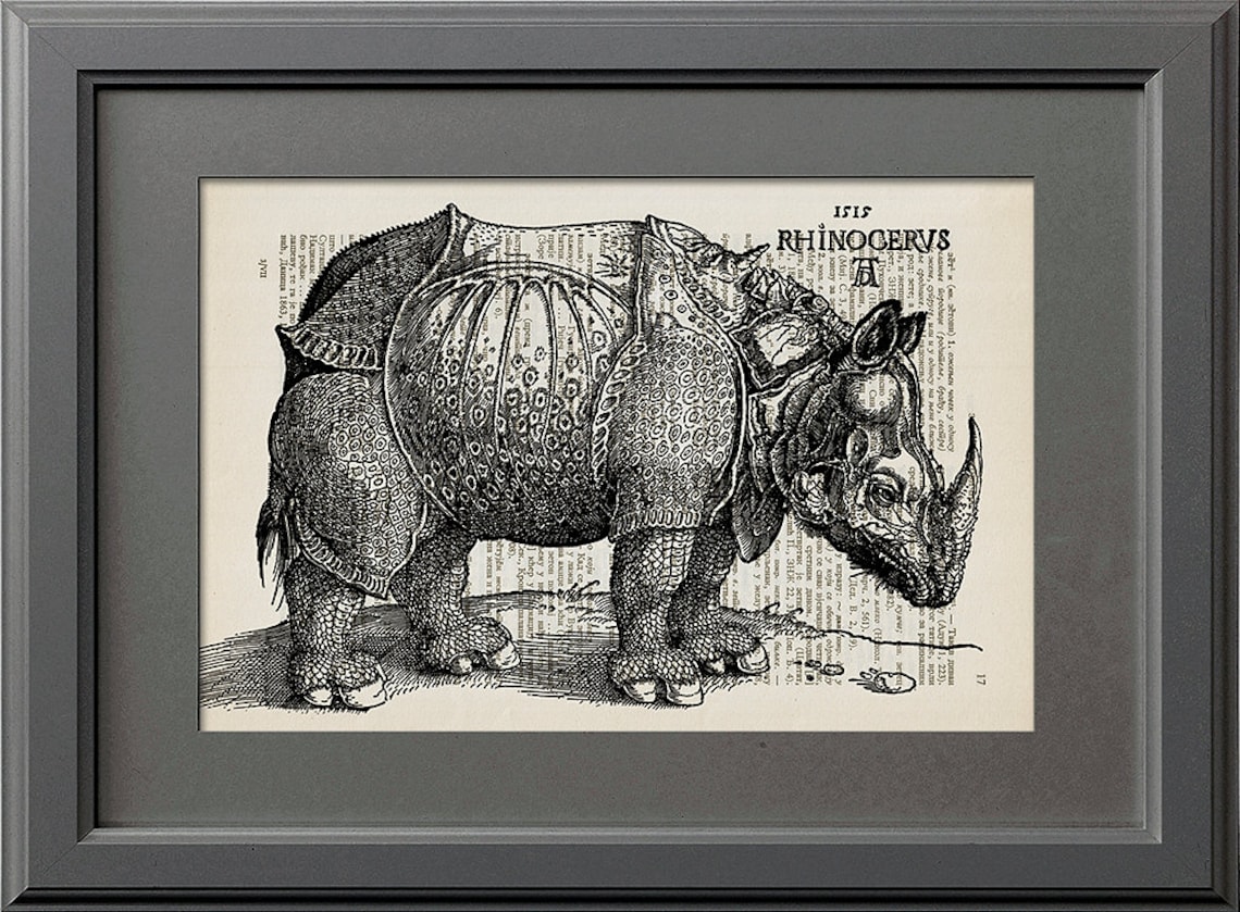 Albrecht Durer Rhinoceros, Albrecht Durer Drawing, Rhinoceros Print ...