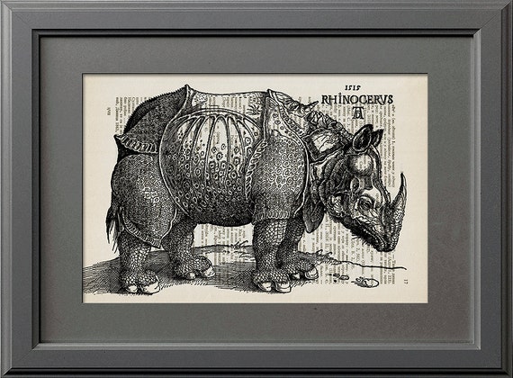 Dürer Rhinozeros Vorlage - Ausmalbilder und Vorlagen