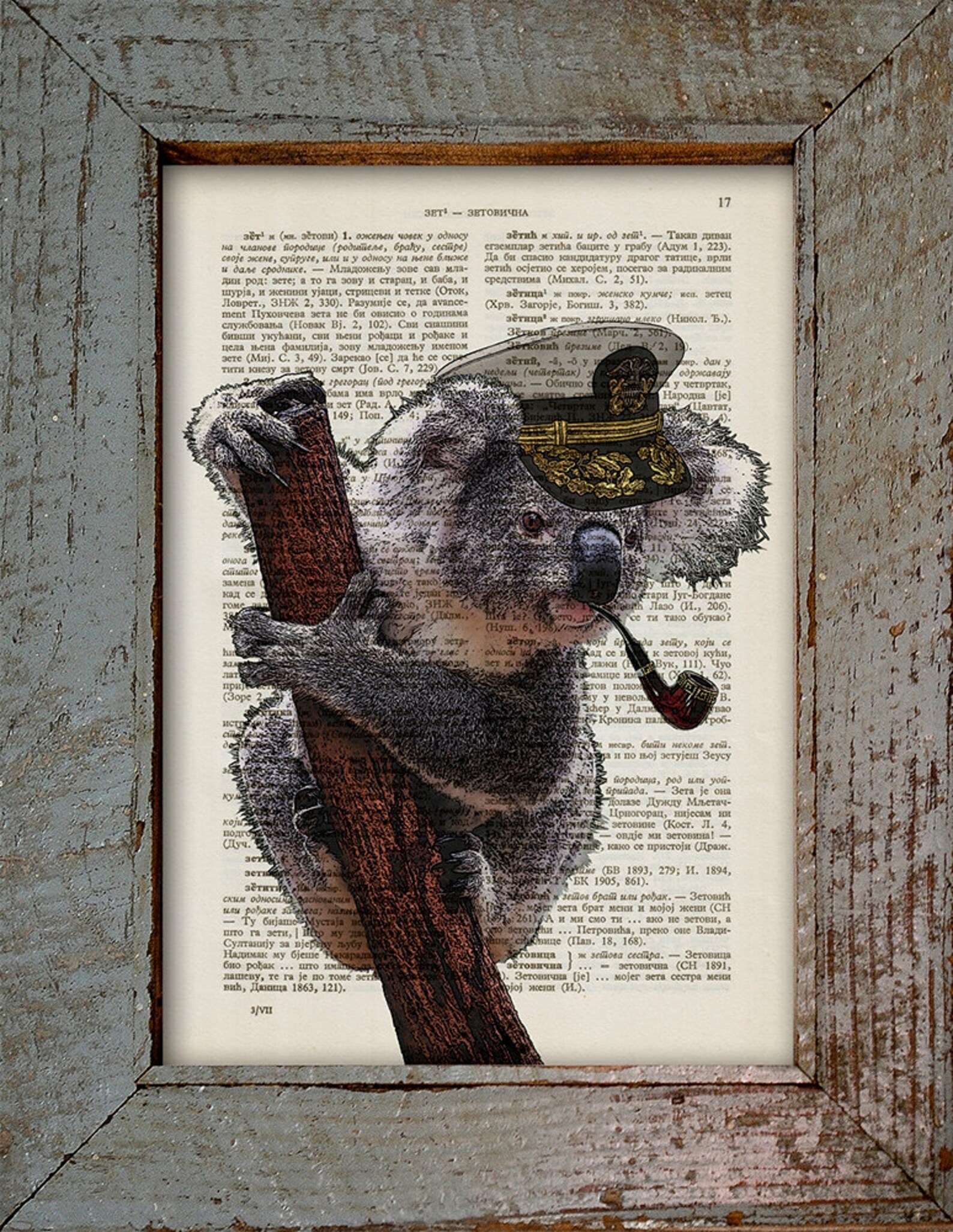 Captain Koala With Pipe, Captain Koala, Captain With Pipe, Old