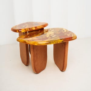 Può includere: Un set di due tavolini sovrapponibili con piani dalle forme organiche irregolari in resina traslucida color ambra con motivi floreali incorporati. Ogni tavolo è sostenuto da tre gambe spesse e arrotondate rivestite in velluto marrone.