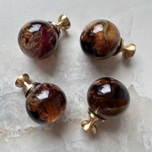 May include: Four spherical cabinet knobs featuring clear resin spheres with embedded dried rose petals in shades of deep red and brown. Each knob is attached to a polished brass-toned metal base with a flared, circular mounting point.