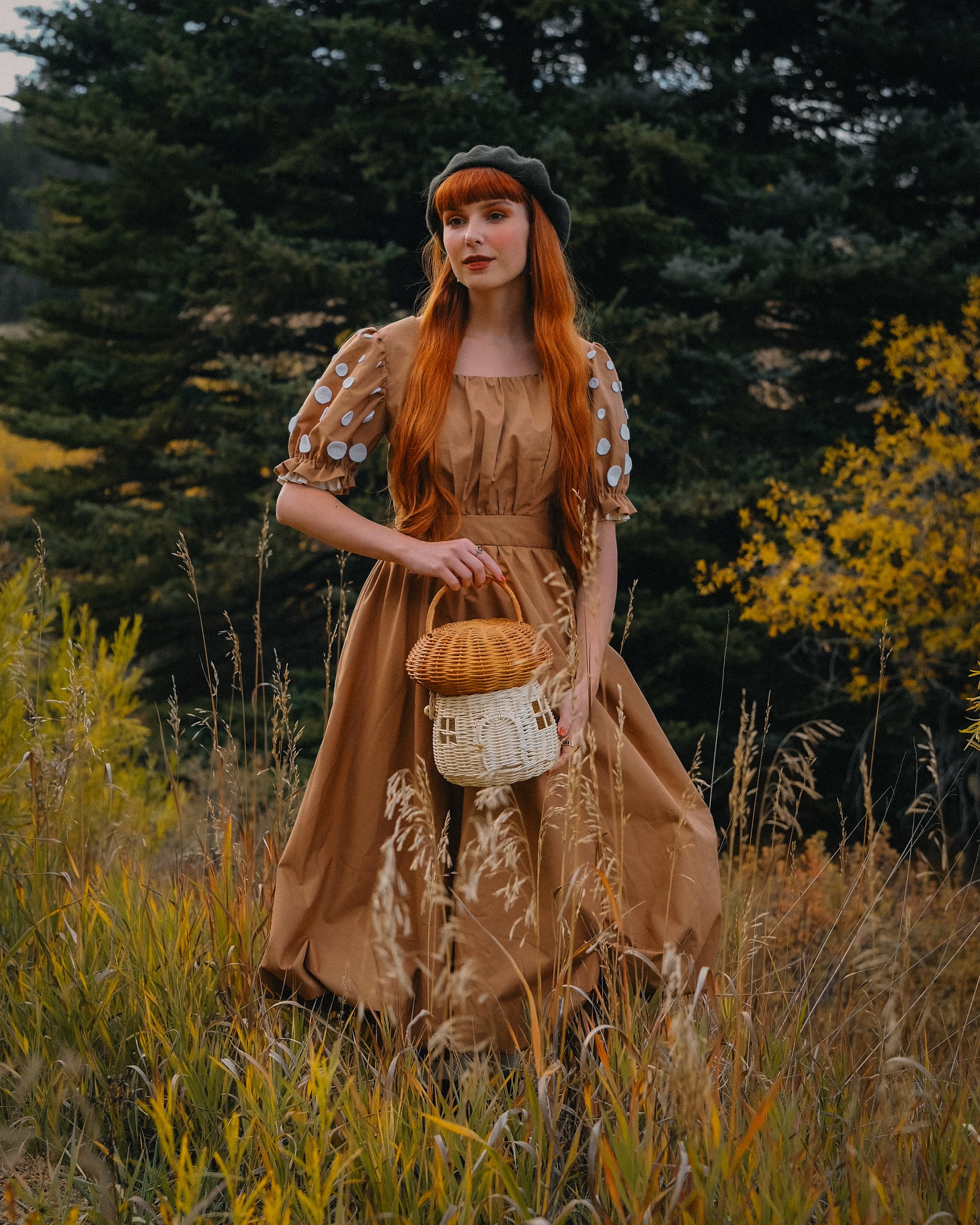 Mushroom Dress Amanita Mushroom Toadstool Dress Mori Girl - Etsy