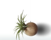 Air Plant Holder, Hanging Wood Planter, Live House Plants, Vertical Garden, Macrame Plant Holder, Indoor Wall Planter