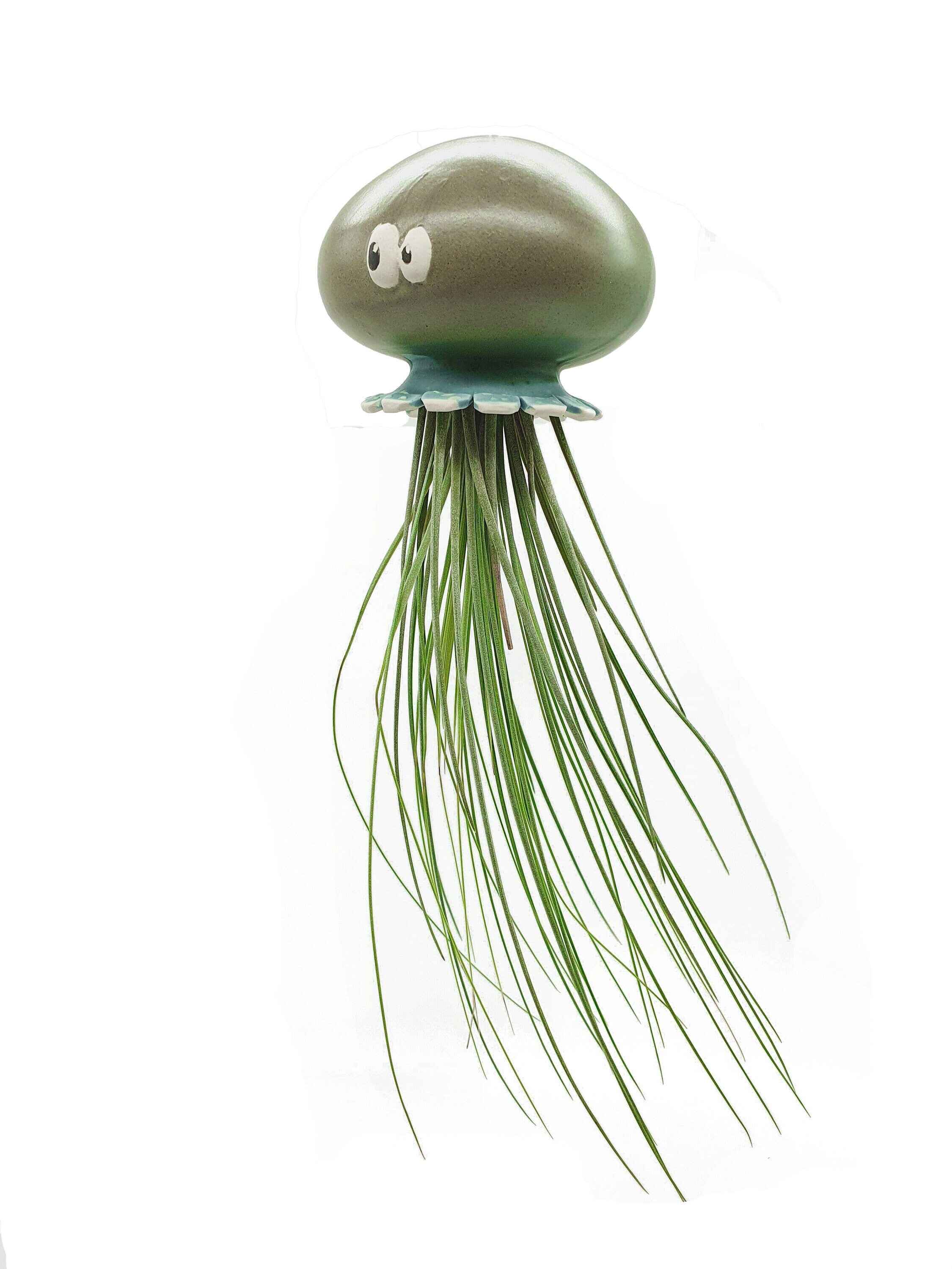Handmade Green Ceramic Hanging Planter with Airplants - Funny Valentine's Gift, Home Decor, READY TO SHIP