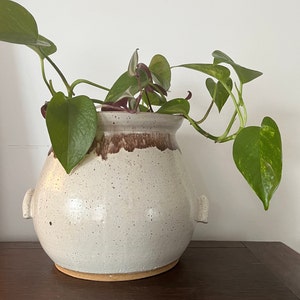 May include: A white ceramic planter with brown accents and a speckled finish. The planter has two small handles on the sides and is filled with a green leafy plant.